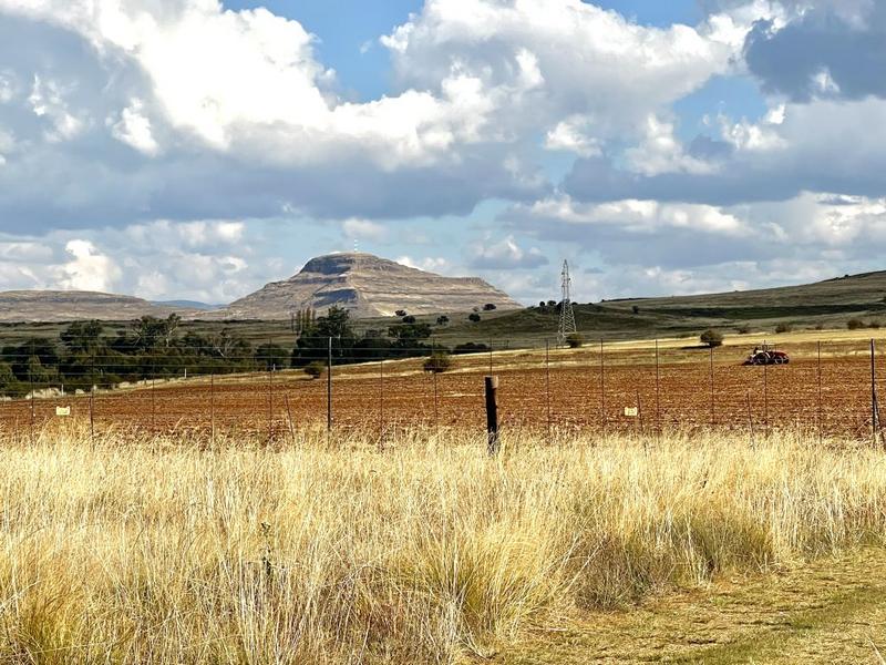 0 Bedroom Property for Sale in Clarens Free State